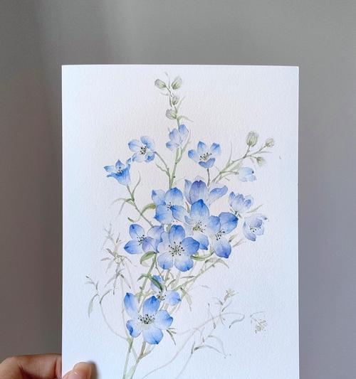 花语寓意自由快乐的花是什么花？如何用花语表达快乐？