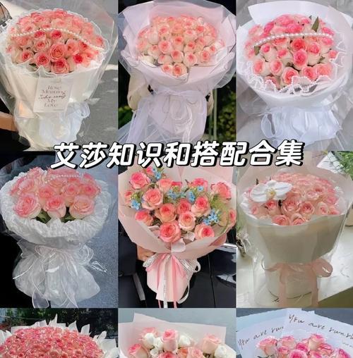 粉玫瑰艾莎的花语有何特别之处？