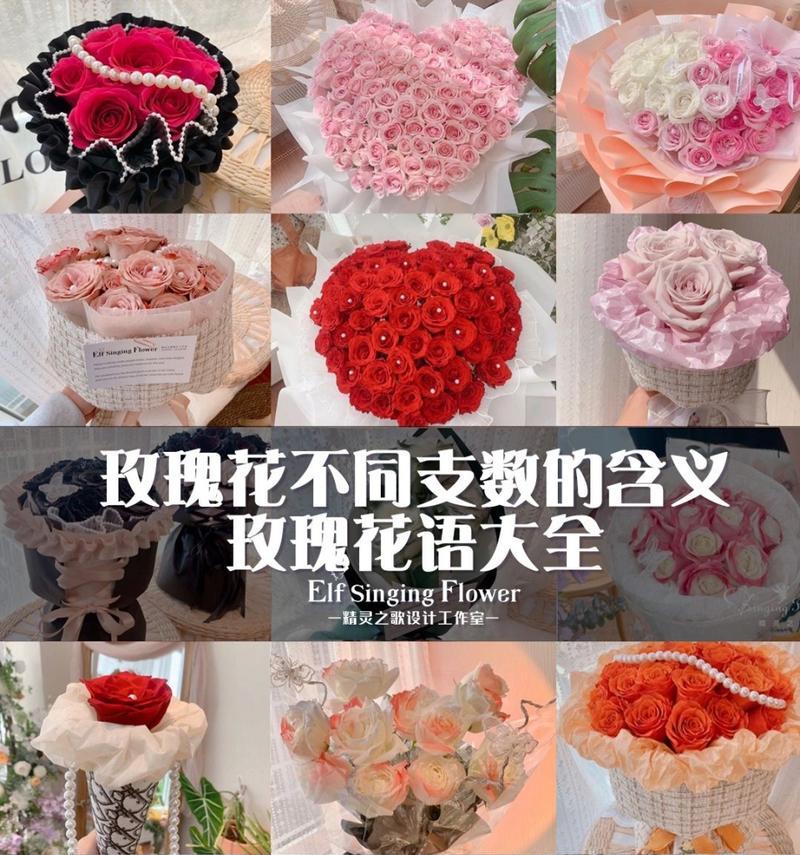 象征服装的花语有何含义？