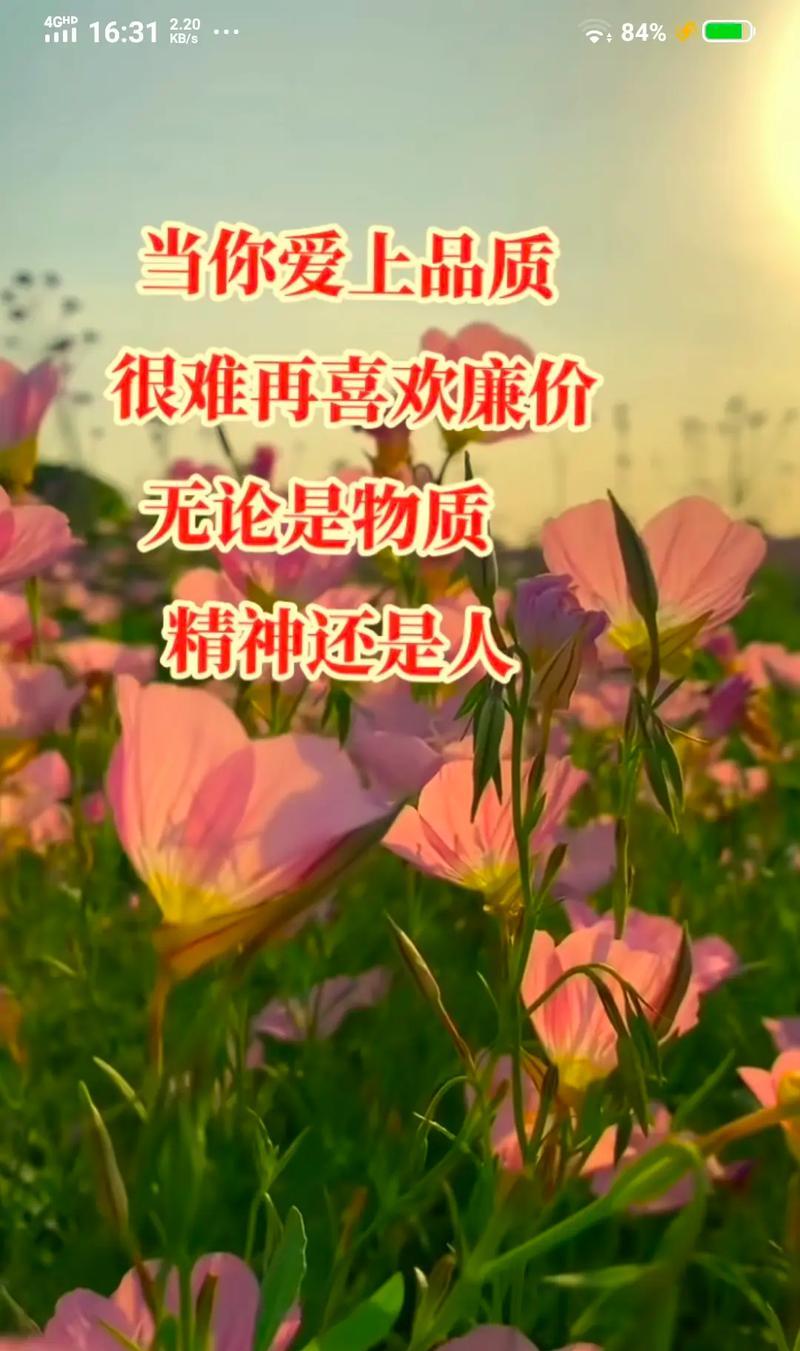 花语中的天长地久是什么意思？哪种花象征着永恒的爱？