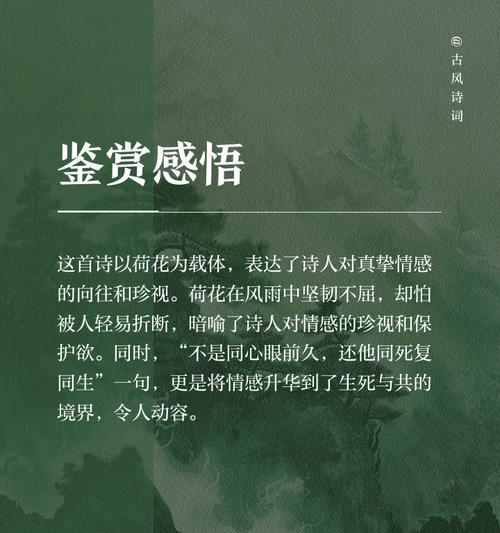 芙蕖的寓意和花语是什么意思？它在文化中有何地位？