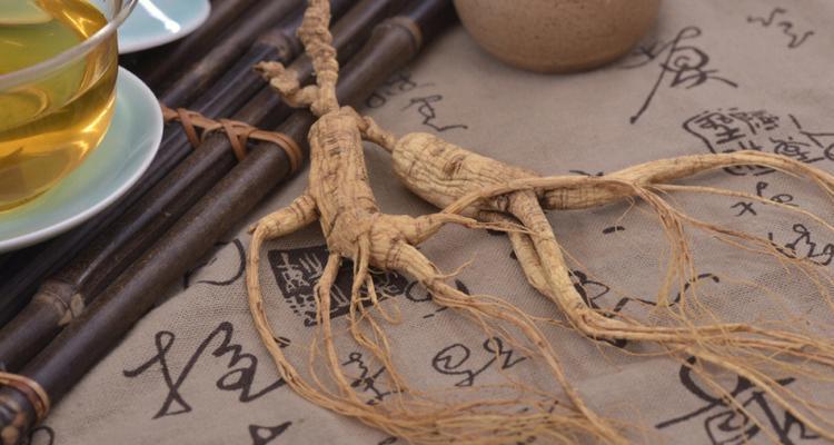 灵宠仙人掌的养殖方法是什么？如何保证其健康生长？
