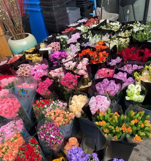 彩色玫瑰花冠的花蕊属于哪种花？