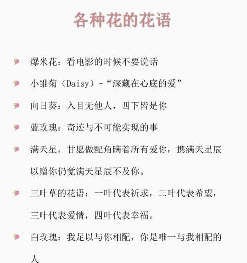 比较苦情的花语是什么？最自信的玫瑰花语又是什么？