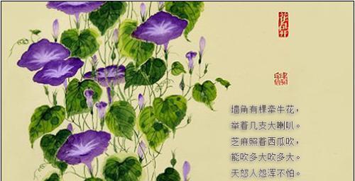 草莓与西瓜花语有何不同？它们各自代表什么？