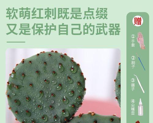 仙人掌绿植苗养护技巧有哪些？
