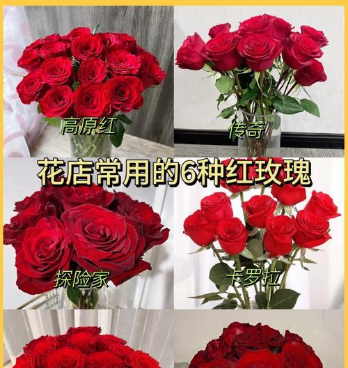 红玫瑰花最美丽的花语是什么？它有什么特别的含义吗？