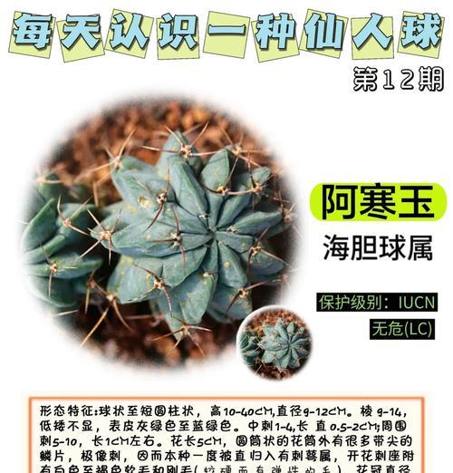 银仙人球的养殖方法和注意事项是什么？
