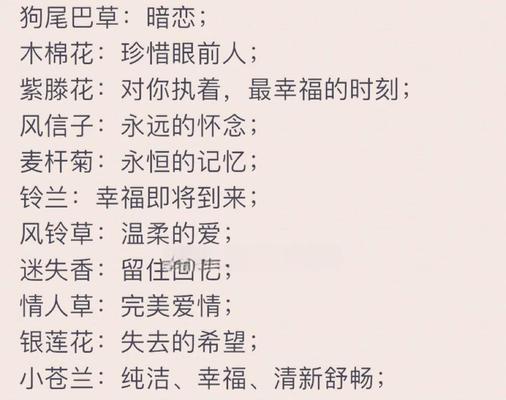 粉玫瑰花语对女生有何特殊含义？