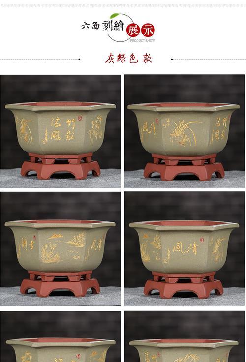 六角花盆适合养君子兰吗？如何正确养护？