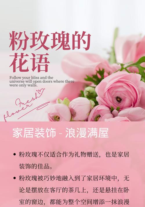 粉色大捧玫瑰的花语有何深意？它传递了哪些情感？