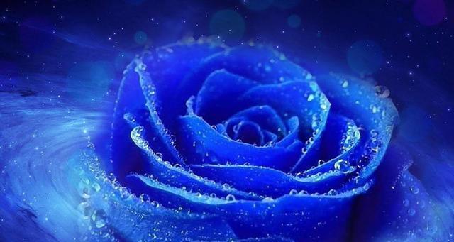 云悦花语大结局揭示了什么？结局中的花语有何深意？
