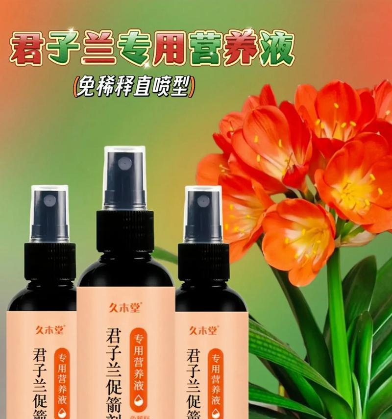 君子兰花期的观察方法是什么？