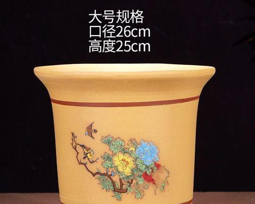 君子兰紫发花盆的养护管理要点是什么？