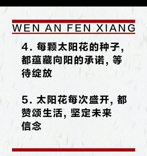太阳花心形花语代表了什么？