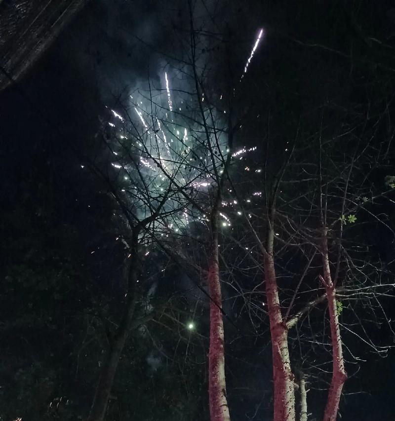 枯树象征的花语和寓意是什么？