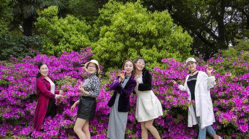 母女花语中姐妹情深的含义是什么？