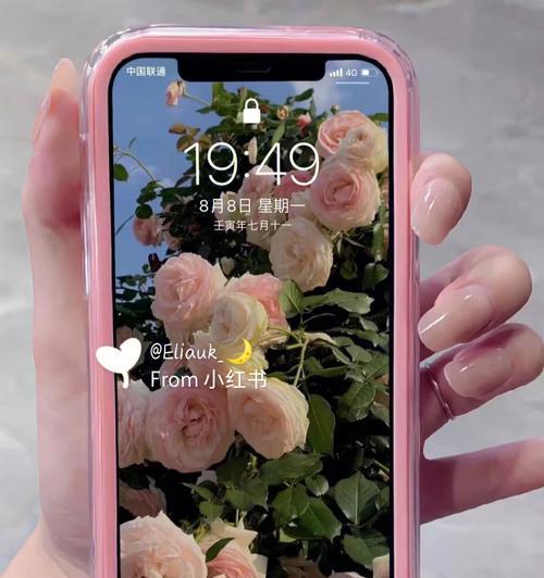 玫瑰花表面为何不会枯萎？背后的原因是什么？