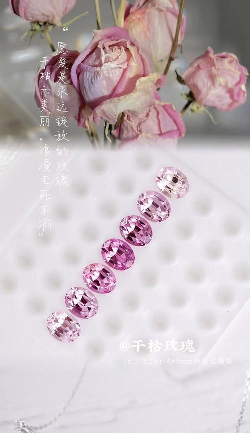 如何挽救看似枯死的玫瑰花？
