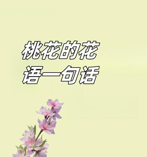 认识你很开心的花语是哪种花？花语中如何表达开心认识你？