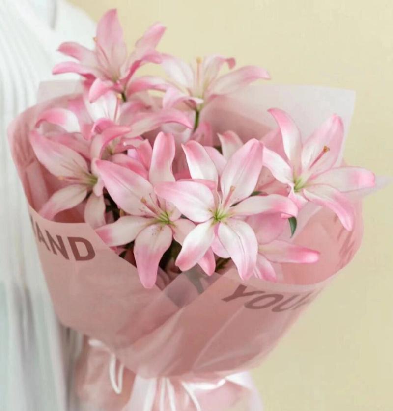 粉白花束的唯美花语有何含义？