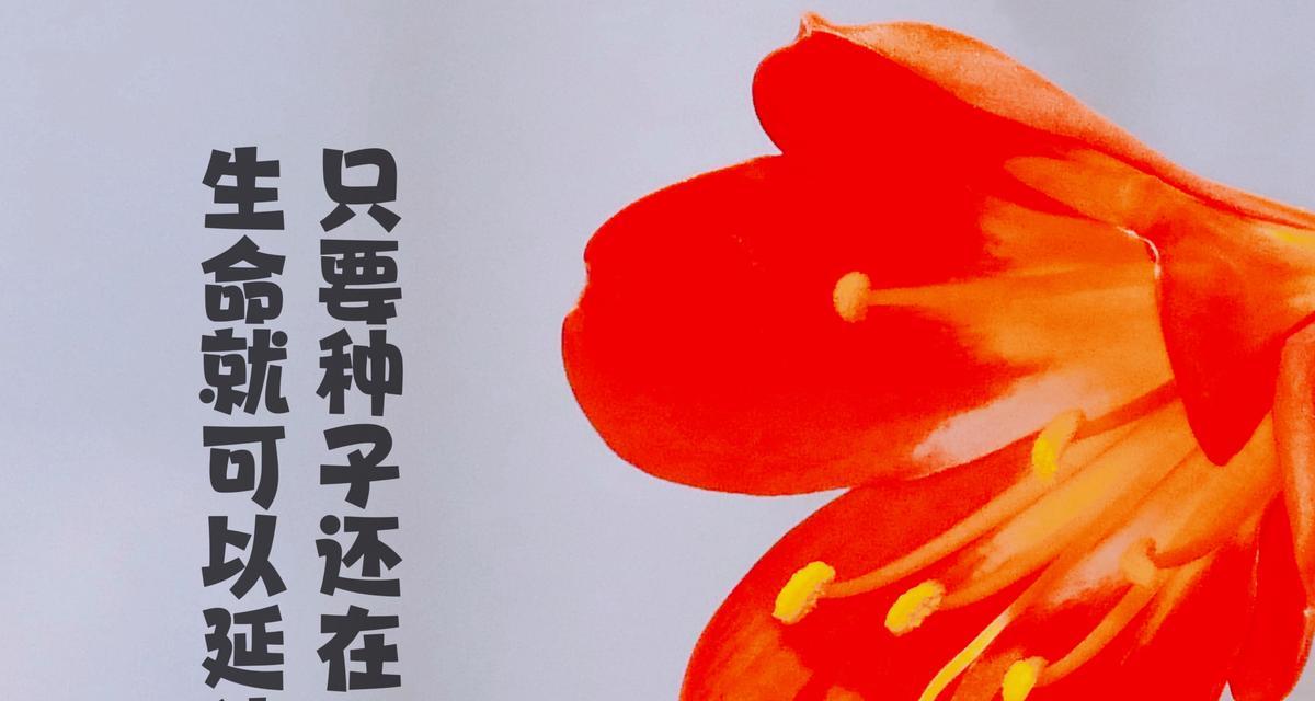 君子兰盛开需要哪些条件和养护？