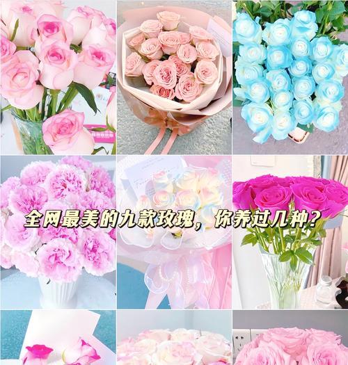 变玫瑰花给女孩子代表什么？变玫瑰花语是什么？