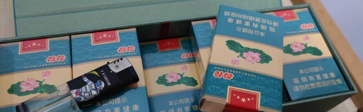 蓝荷花烟的花语有何独特之处？