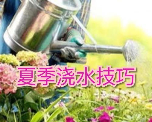 独龙角仙人掌的种植技巧是什么？
