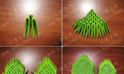剪碎仙人掌扦插繁殖步骤是什么？
