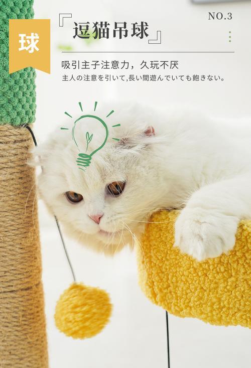 小喵咪仙人掌养殖需要注意什么？