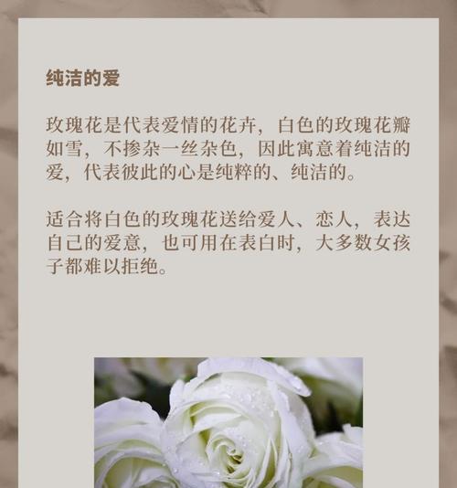 紫玫瑰与白玫瑰组合的花语是什么？