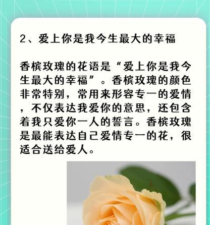 农历正月十三日的花语是什么？这一天有何特别的花语？