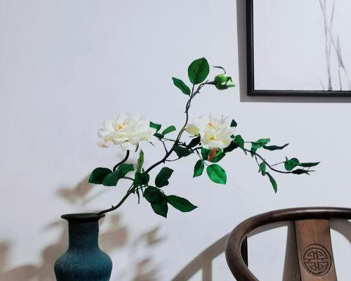 白玫瑰花老根的养护方法是什么？