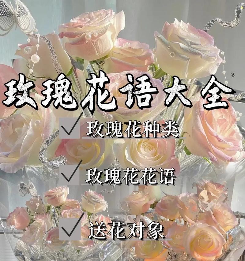粉色玫瑰花壶寓意什么？粉玫瑰的花语1到9朵又是什么？