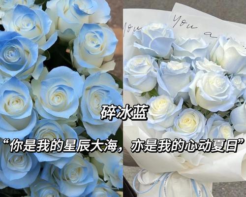 七夕星辰大海的花语是什么？它代表了怎样的情感？