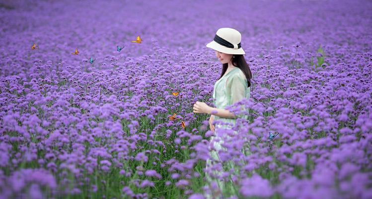 梦幻邂逅的花语代表什么含义？