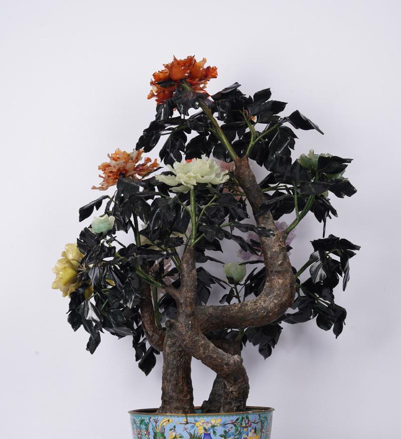 牡丹花盆颜色选择有什么讲究？