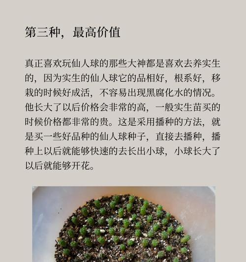 带盆的开花仙人球好养吗？正确的养护方法是什么？