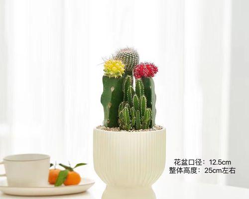带盆的开花仙人球好养吗？正确的养护方法是什么？
