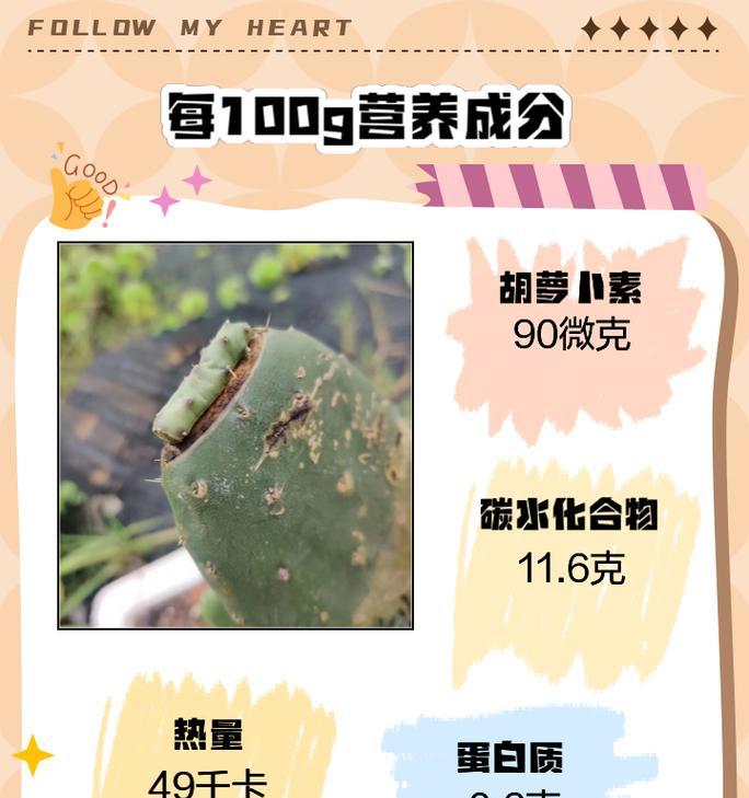 梨果仙人掌如何繁殖？繁殖过程中应注意什么？