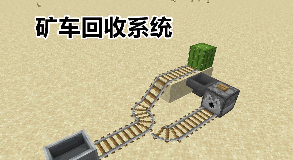 在《我的世界》中培养仙人掌的技巧有哪些？