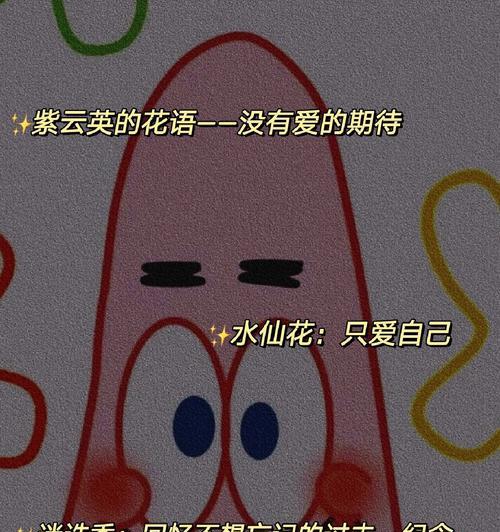 橙子作为水果的花语有哪些？