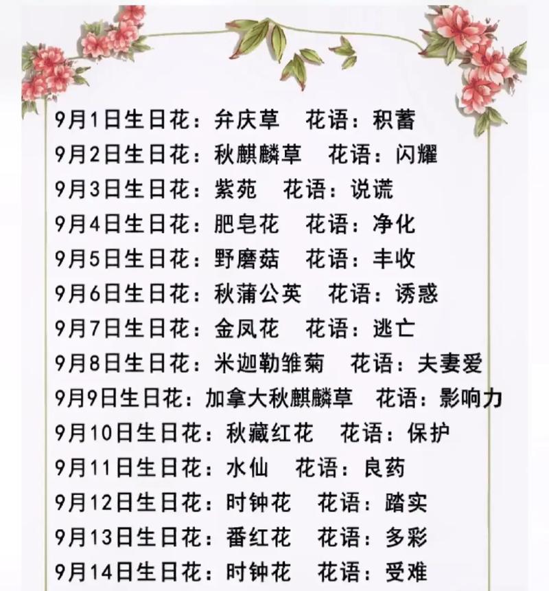 日常送花的花语含义是什么？