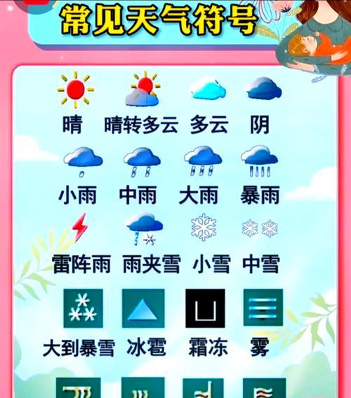 了解天气的花语有何寓意？
