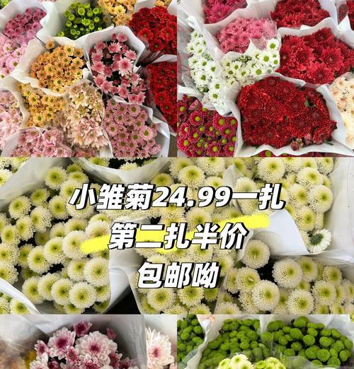小雏菊的外观与花语分别是什么？