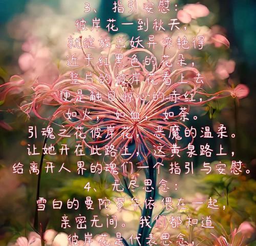 彼岸花的花语是什么？它在不同文化中的含义有何不同？