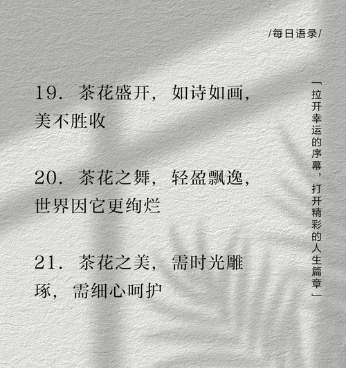 聆听花语的诗句有哪些？它们表达了什么？