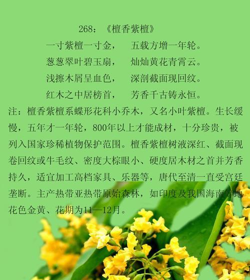 小叶栀子花的花语及寓意有哪些？