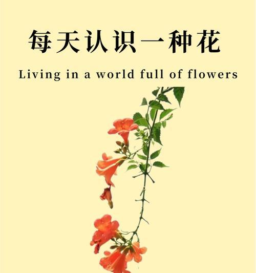 9月的花语有哪些？